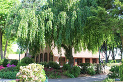 Friedhof Halstenbek