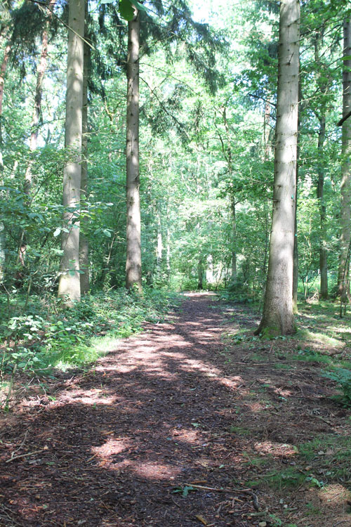 Bestattungsinstitut Bade - Waldfriedhof Wedel Waldweg